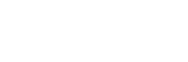 Leonardo Consultancy